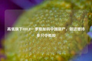 高瓴旗下HHLR一季度加码中国资产，新进增持多只中概股