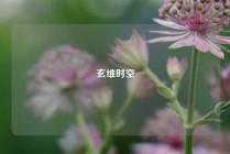 玄维时空