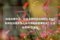 抖音点赞平台，抖音点赞的平台叫什么平台，如何在抖音平台上高效获取和管理粉丝？亿乐社区SUP货源站