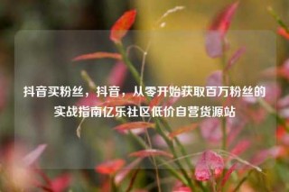 抖音买粉丝，抖音，从零开始获取百万粉丝的实战指南亿乐社区低价自营货源站
