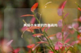 两碗小米粥的热量高吗