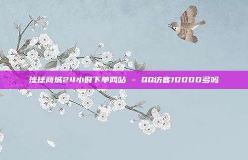 球球商城24小时下单网站 - QQ访客10000多吗  第1张