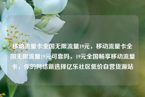 移动流量卡全国无限流量19元，移动流量卡全国无限流量19元可靠吗，19元全国畅享移动流量卡，你的网络新选择亿乐社区低价自营货源站  第1张