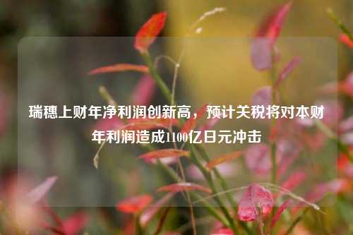 瑞穗上财年净利润创新高，预计关税将对本财年利润造成1100亿日元冲击  第1张