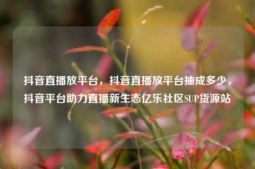 抖音直播放平台，抖音直播放平台抽成多少，抖音平台助力直播新生态亿乐社区SUP货源站  第1张