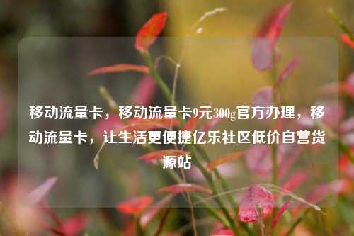 移动流量卡，移动流量卡9元300g官方办理，移动流量卡，让生活更便捷亿乐社区低价自营货源站  第1张