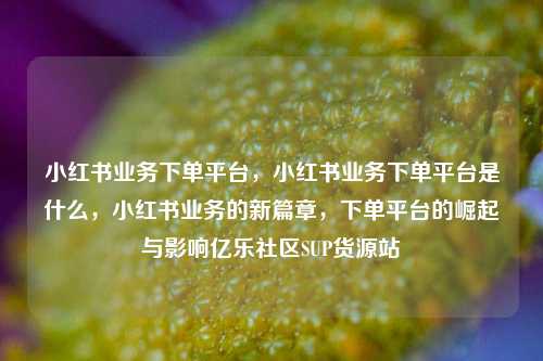 小红书业务下单平台，小红书业务下单平台是什么，小红书业务的新篇章，下单平台的崛起与影响亿乐社区SUP货源站  第1张
