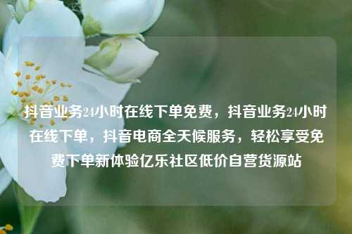 抖音业务24小时在线下单免费，抖音业务24小时在线下单，抖音电商全天候服务，轻松享受免费下单新体验亿乐社区低价自营货源站  第1张