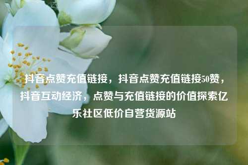 抖音点赞充值链接，抖音点赞充值链接50赞，抖音互动经济，点赞与充值链接的价值探索亿乐社区低价自营货源站  第1张