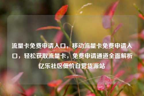 流量卡免费申请入口，移动流量卡免费申请入口，轻松获取流量卡，免费申请通道全面解析亿乐社区低价自营货源站  第1张