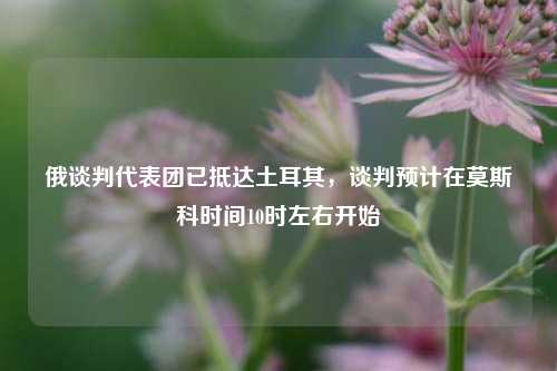 俄谈判代表团已抵达土耳其，谈判预计在莫斯科时间10时左右开始  第1张