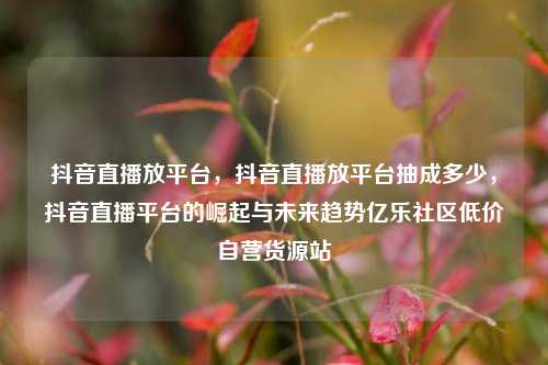 抖音直播放平台，抖音直播放平台抽成多少，抖音直播平台的崛起与未来趋势亿乐社区低价自营货源站  第1张