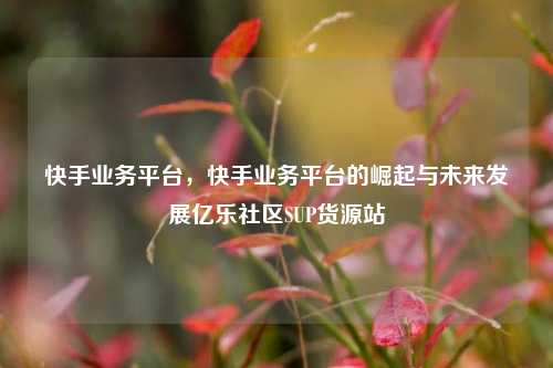 快手业务平台，快手业务平台的崛起与未来发展亿乐社区SUP货源站  第1张