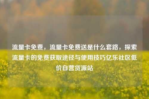 流量卡免费，流量卡免费送是什么套路，探索流量卡的免费获取途径与使用技巧亿乐社区低价自营货源站  第1张