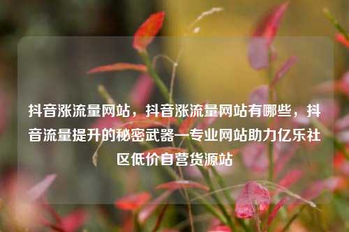 抖音涨流量网站，抖音涨流量网站有哪些，抖音流量提升的秘密武器—专业网站助力亿乐社区低价自营货源站  第1张