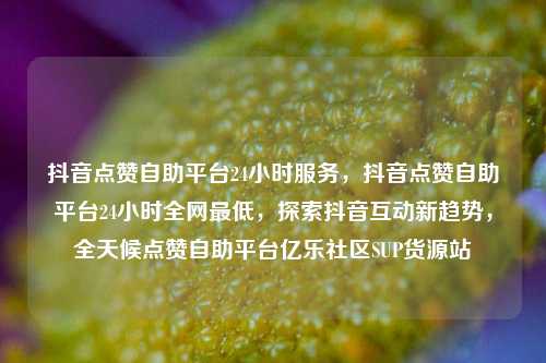 抖音点赞自助平台24小时服务，抖音点赞自助平台24小时全网最低，探索抖音互动新趋势，全天候点赞自助平台亿乐社区SUP货源站  第1张