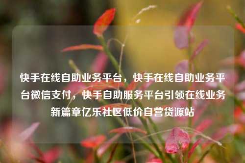 快手在线自助业务平台，快手在线自助业务平台微信支付，快手自助服务平台引领在线业务新篇章亿乐社区低价自营货源站  第1张