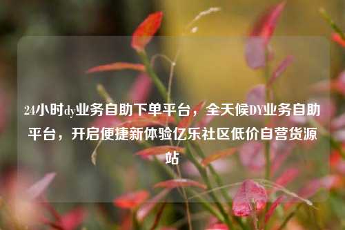 24小时dy业务自助下单平台，全天候DY业务自助平台，开启便捷新体验亿乐社区低价自营货源站  第1张