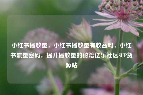 小红书播放量，小红书播放量有收益吗，小红书流量密码，提升播放量的秘籍亿乐社区SUP货源站  第1张