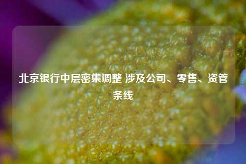 北京银行中层密集调整 涉及公司、零售、资管条线  第1张