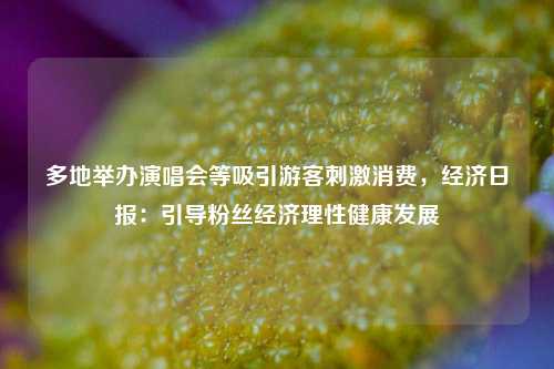 多地举办演唱会等吸引游客刺激消费，经济日报：引导粉丝经济理性健康发展  第1张