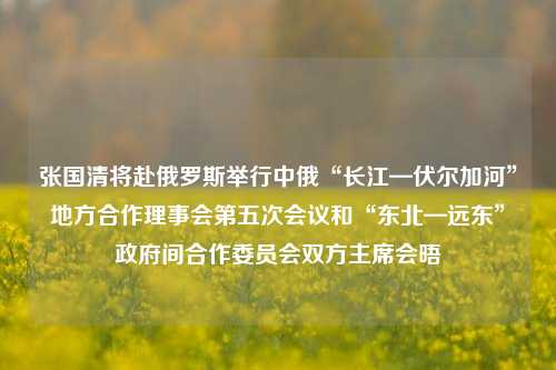 张国清将赴俄罗斯举行中俄“长江—伏尔加河”地方合作理事会第五次会议和“东北—远东”政府间合作委员会双方主席会晤  第1张