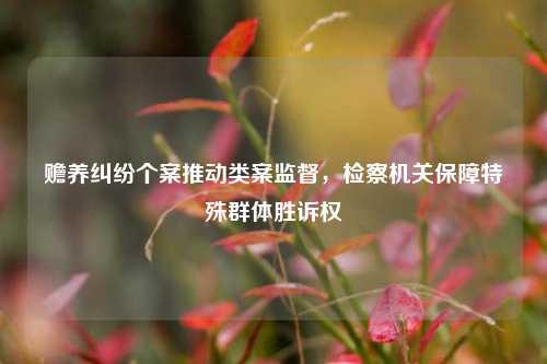赡养纠纷个案推动类案监督，检察机关保障特殊群体胜诉权  第1张