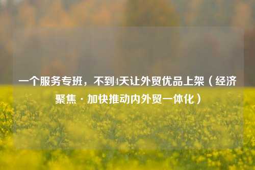 一个服务专班，不到4天让外贸优品上架（经济聚焦·加快推动内外贸一体化）  第1张