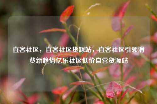 直客社区，直客社区货源站，直客社区引领消费新趋势亿乐社区低价自营货源站  第1张