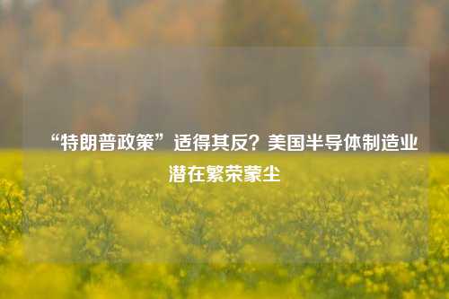 “特朗普政策”适得其反？美国半导体制造业潜在繁荣蒙尘  第1张