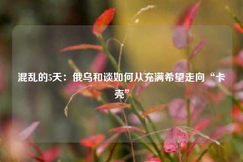 混乱的5天：俄乌和谈如何从充满希望走向“卡壳”  第1张