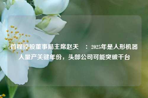 首程控股董事局主席赵天旸：2025年是人形机器人量产关键年份，头部公司可能突破千台  第1张