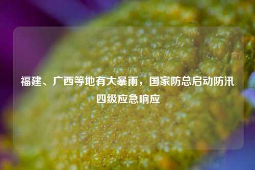 福建	、广西等地有大暴雨，国家防总启动防汛四级应急响应  第1张