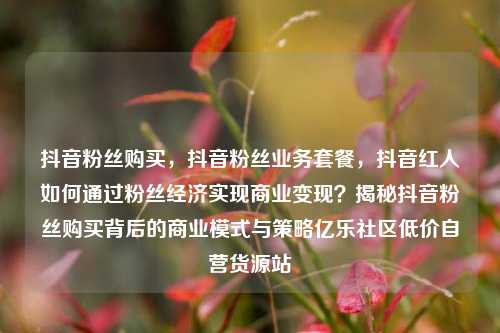 抖音粉丝购买，抖音粉丝业务套餐，抖音红人如何通过粉丝经济实现商业变现？揭秘抖音粉丝购买背后的商业模式与策略亿乐社区低价自营货源站  第1张