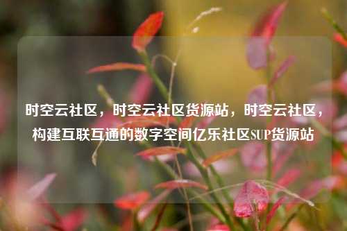 时空云社区，时空云社区货源站	，时空云社区，构建互联互通的数字空间亿乐社区SUP货源站  第1张