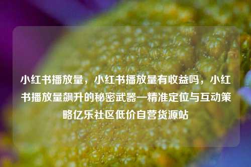 小红书播放量，小红书播放量有收益吗，小红书播放量飙升的秘密武器—精准定位与互动策略亿乐社区低价自营货源站  第1张