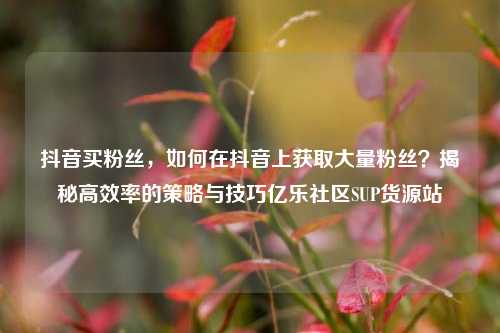 抖音买粉丝	，如何在抖音上获取大量粉丝？揭秘高效率的策略与技巧亿乐社区SUP货源站  第1张