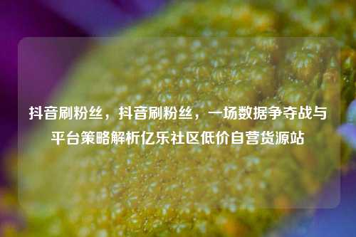 抖音刷粉丝，抖音刷粉丝	，一场数据争夺战与平台策略解析亿乐社区低价自营货源站  第1张