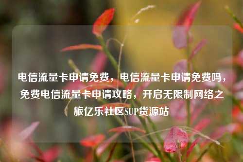 电信流量卡申请免费，电信流量卡申请免费吗	，免费电信流量卡申请攻略，开启无限制网络之旅亿乐社区SUP货源站  第1张
