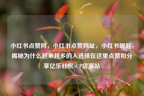 小红书点赞网，小红书点赞网址	，小红书崛起，揭秘为什么越来越多的人选择在这里点赞和分享亿乐社区SUP货源站  第1张