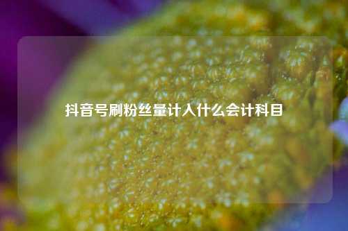 抖音号刷粉丝量计入什么会计科目  第1张