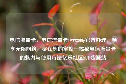 电信流量卡	，电信流量卡19元200g官方办理，畅享无限网络，尽在您的掌控—揭秘电信流量卡的魅力与使用方法亿乐社区SUP货源站  第1张