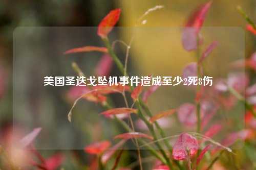 美国圣迭戈坠机事件造成至少2死8伤  第1张