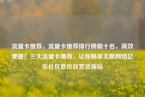 流量卡推荐，流量卡推荐排行榜前十名	，高效便捷！三大流量卡推荐，让你畅享无限网络亿乐社区低价自营货源站  第1张