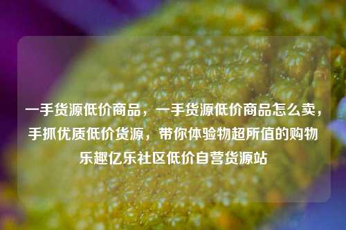一手货源低价商品，一手货源低价商品怎么卖，手抓优质低价货源	，带你体验物超所值的购物乐趣亿乐社区低价自营货源站  第1张