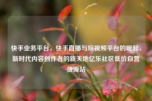 快手业务平台，快手直播与短视频平台的崛起，新时代内容创作者的新天地亿乐社区低价自营货源站  第1张