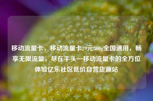 移动流量卡，移动流量卡29元300g全国通用	，畅享无限流量，尽在手头—移动流量卡的全方位体验亿乐社区低价自营货源站  第1张