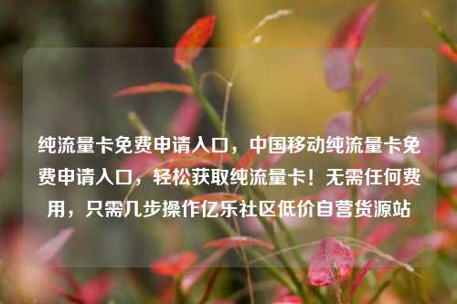 纯流量卡免费申请入口，中国移动纯流量卡免费申请入口，轻松获取纯流量卡！无需任何费用，只需几步操作亿乐社区低价自营货源站  第1张