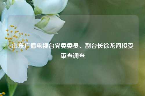 山东广播电视台党委委员、副台长徐龙河接受审查调查  第1张