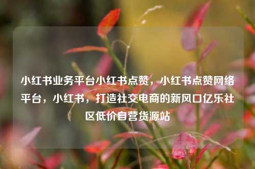 小红书业务平台小红书点赞	，小红书点赞网络平台，小红书，打造社交电商的新风口亿乐社区低价自营货源站  第1张